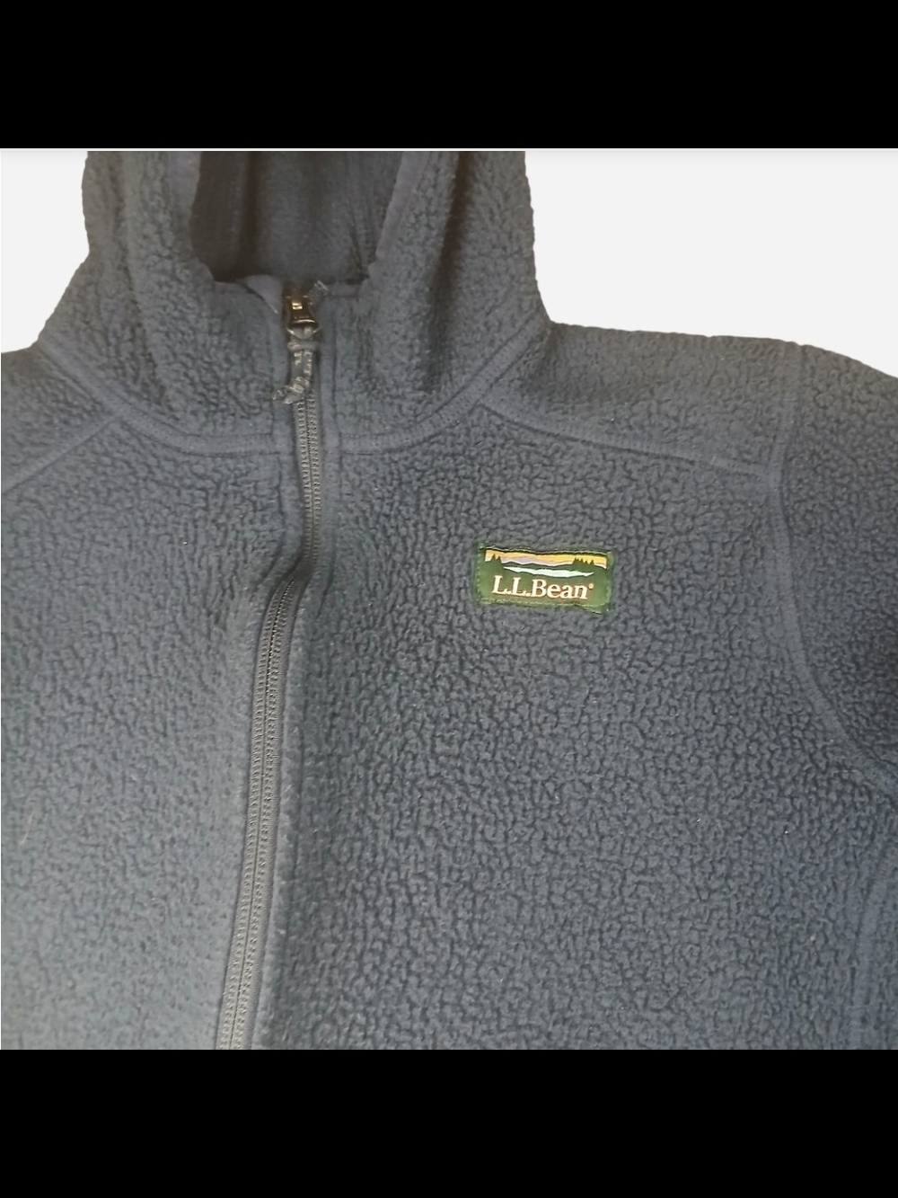 LL Bean Jacket Youth L 14/16 Blue Fleece Full Zip Hooded Outdoors Youth Hike